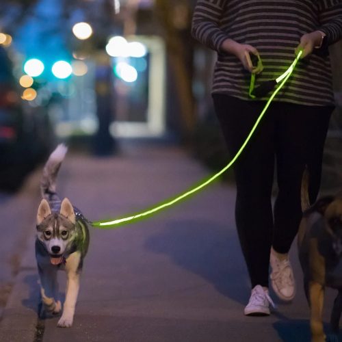  Pet Comfort LED Kutyapóráz